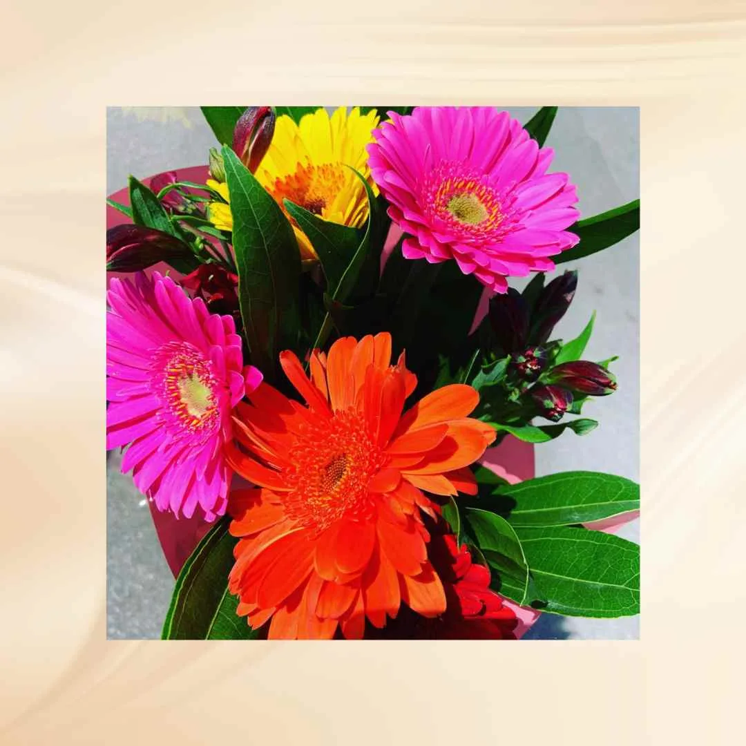 Bloemen Bloemen