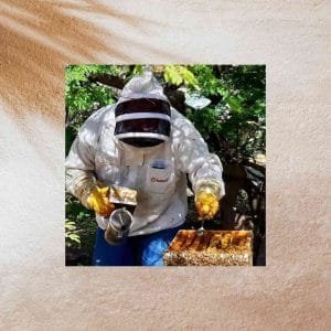 Bee Experience op Aruba